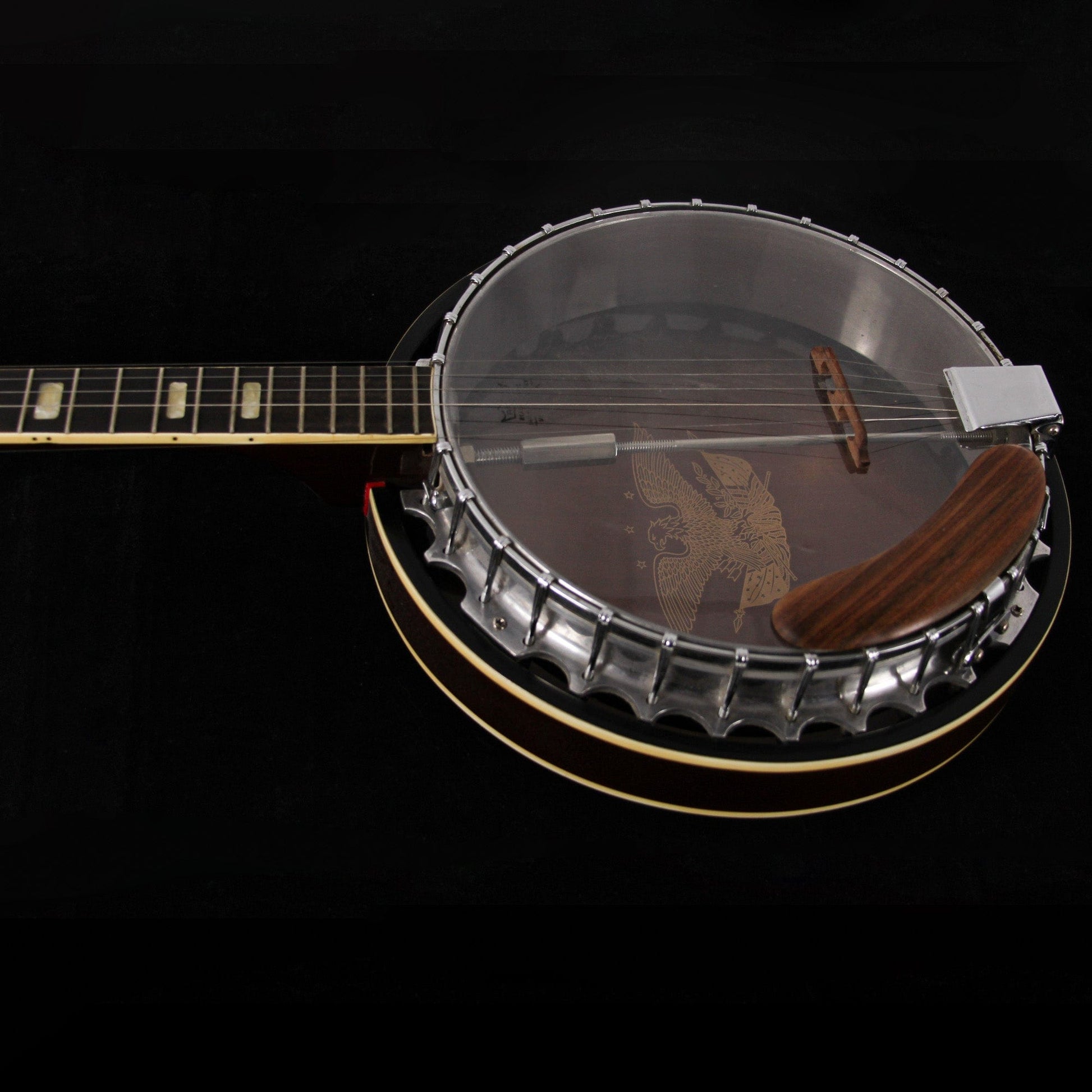 Harmony Double Eagle Banjo Front