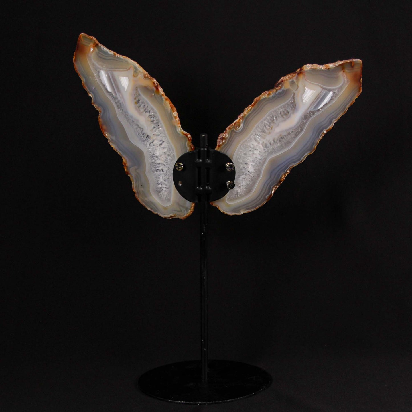 Agate Slice Butterflies Black