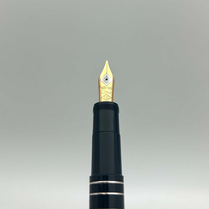 OMAS Fountain Pen (Ferrari) Angle