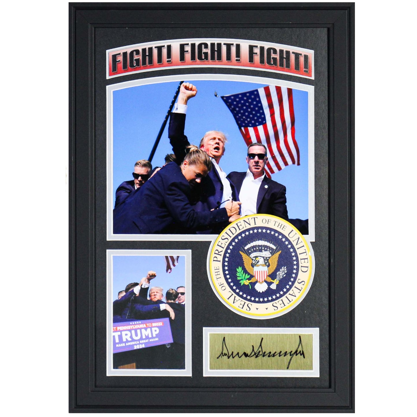 Donald Trump Facsimile Signature Memorabilia Frame