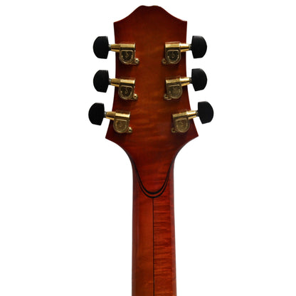 1999 Ribbecke Monterey Jazz Guitar Gold & Silver Pawn Shop