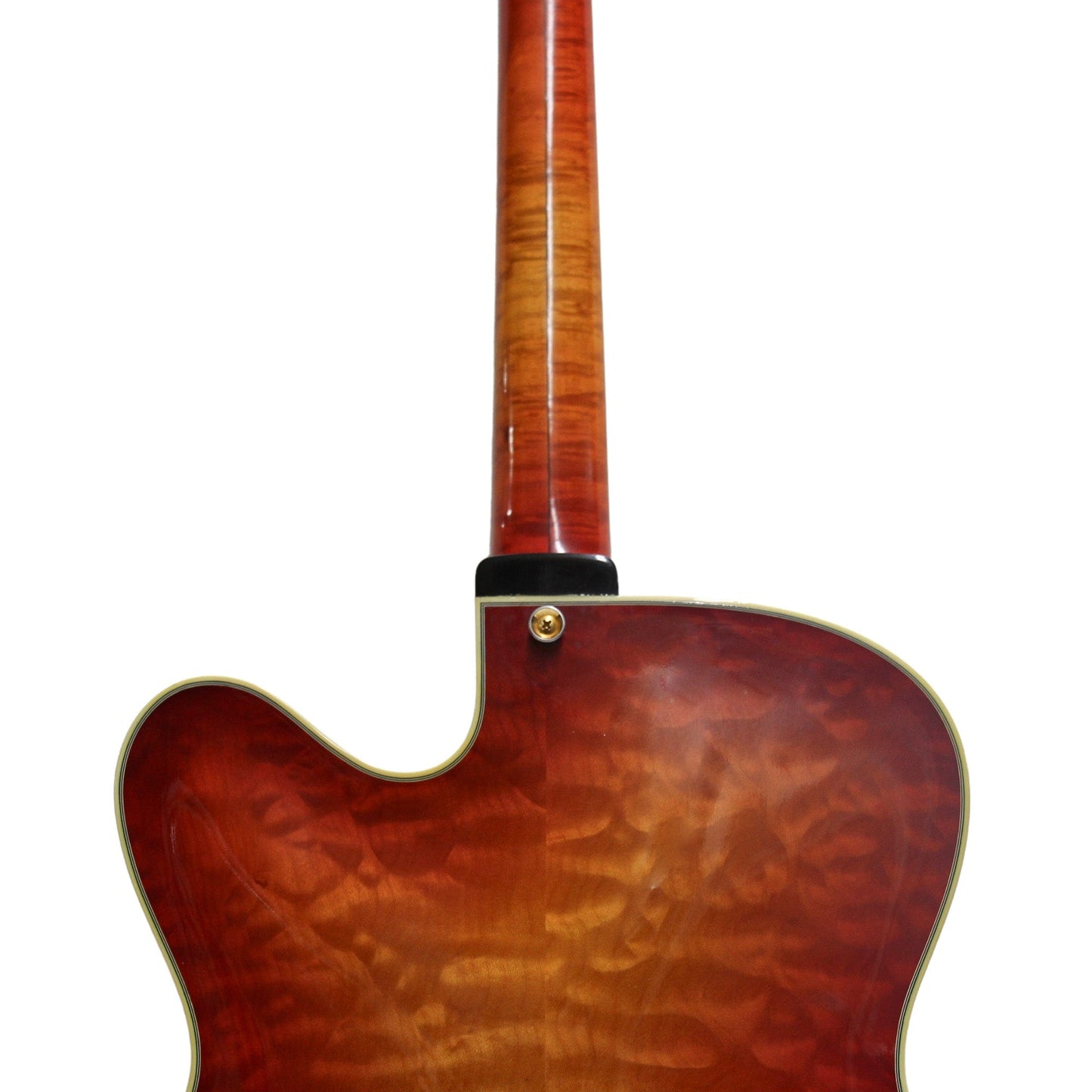 1999 Ribbecke Monterey Jazz Guitar Gold & Silver Pawn Shop