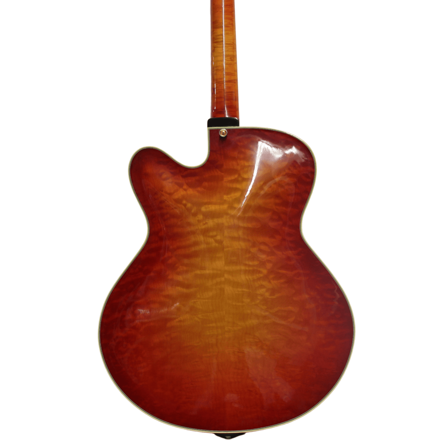 1999 Ribbecke Monterey Jazz Guitar Gold & Silver Pawn Shop