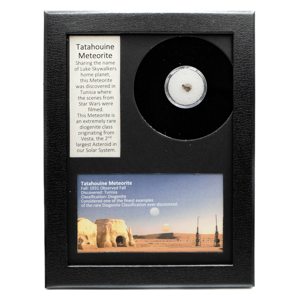 Tatahouine Meteorite Fragment Art Gold & Silver Pawn Shop