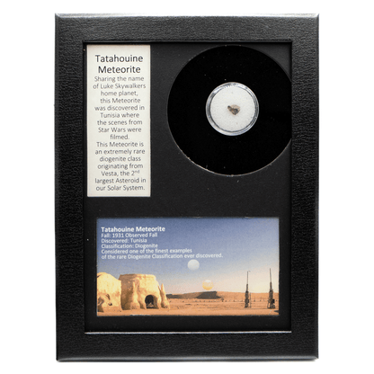 Tatahouine Meteorite Fragment Art Gold & Silver Pawn Shop