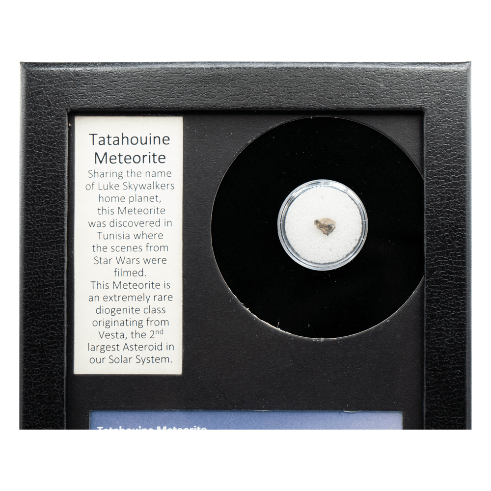 Tatahouine Meteorite Fragment Art Gold & Silver Pawn Shop