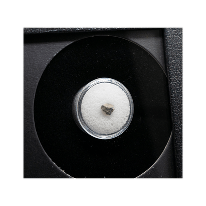 Tatahouine Meteorite Fragment Art Gold & Silver Pawn Shop