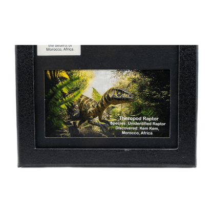 Raptor Tooth Art Gold & Silver Pawn Shop