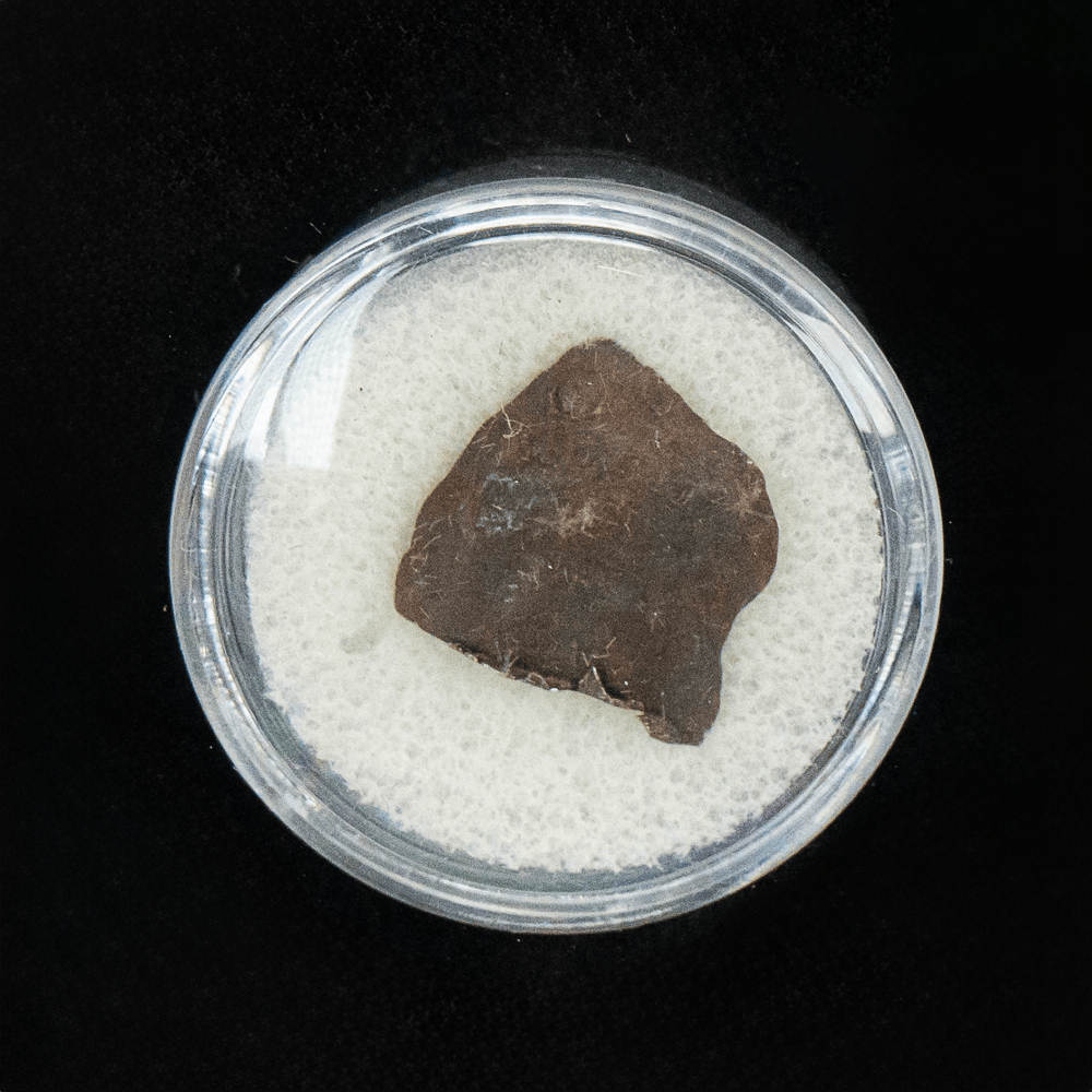 Arizona Crater Meteorite Art Gold & Silver Pawn Shop