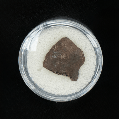 Arizona Crater Meteorite Art Gold & Silver Pawn Shop