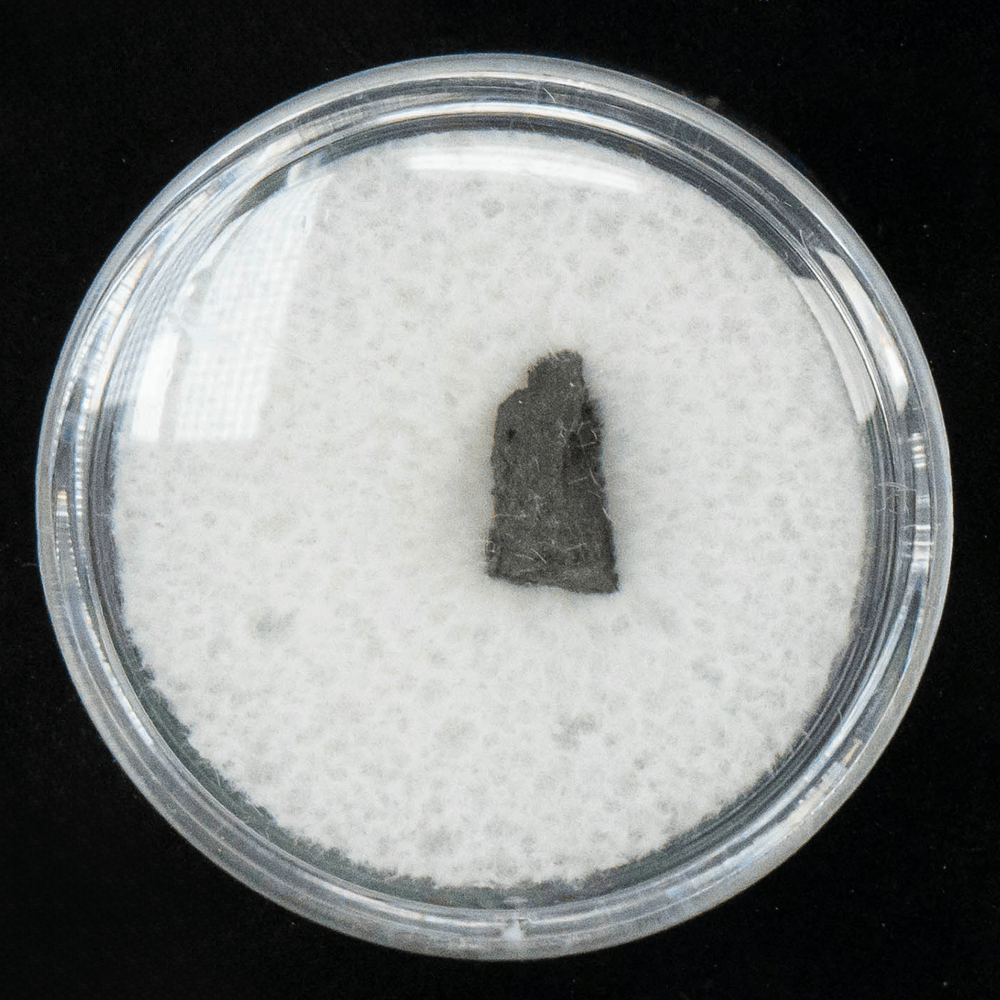 Chelyabinsk Meteorite Art Gold & Silver Pawn Shop