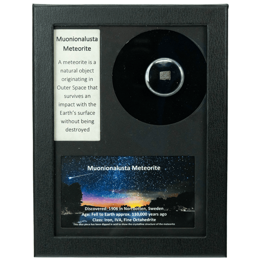 Muonionalusa Meteorite Art Gold & Silver Pawn Shop