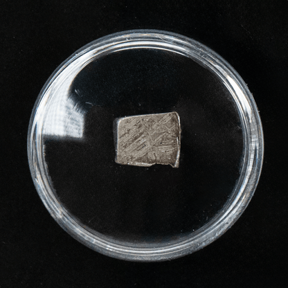 Muonionalusa Meteorite Art Gold & Silver Pawn Shop