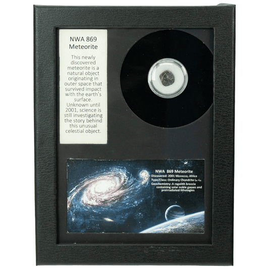 NWA #869 Meteorite Art Gold & Silver Pawn Shop