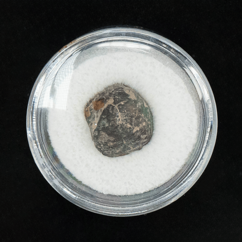 NWA #869 Meteorite Art Gold & Silver Pawn Shop