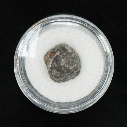 NWA #869 Meteorite Art Gold & Silver Pawn Shop
