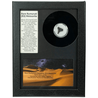 Rare Rumuriti (R3) Meteorite Art Gold & Silver Pawn Shop