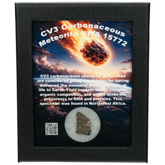 CV3 Carbonaceous Meteorite Art Gold & Silver Pawn Shop