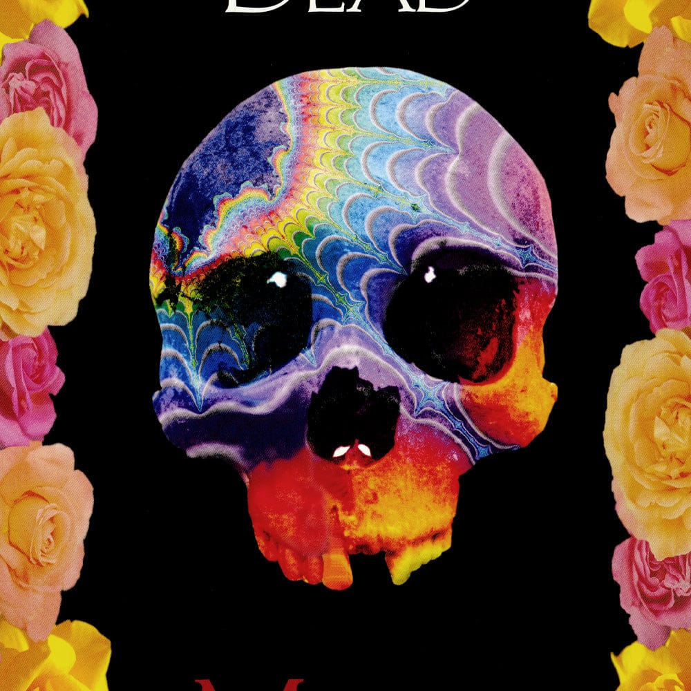 The Grateful Dead: Mardi Gras, 1995, Original Concert Poster Art Gold & Silver Pawn Shop