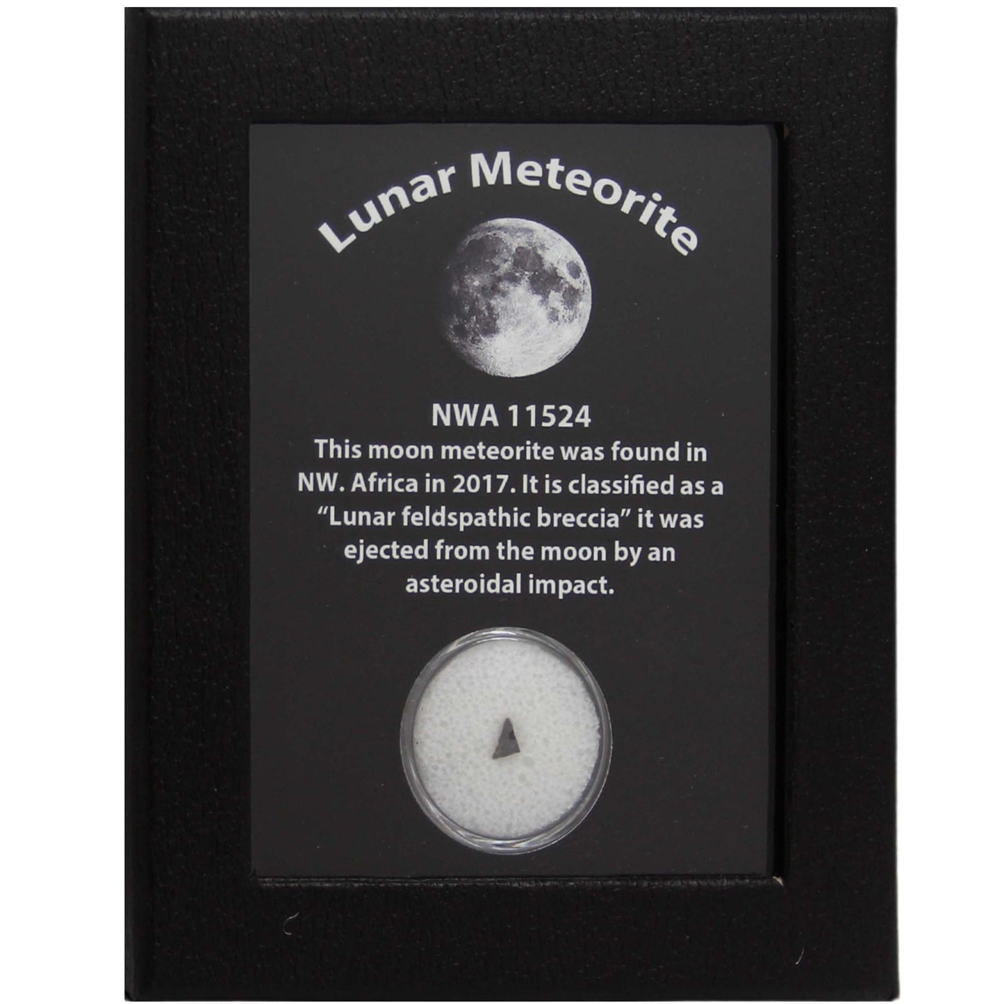 Lunar Meteorite  Thumbnail
