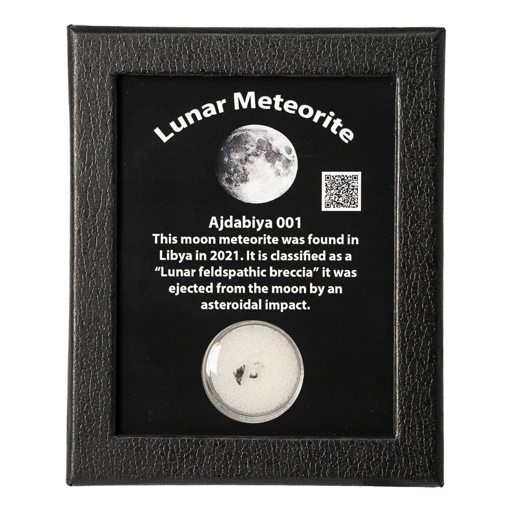 Lunar Meteorite Art Gold & Silver Pawn Shop