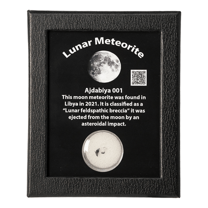 Lunar Meteorite Art Gold & Silver Pawn Shop