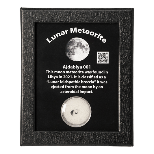 Lunar Meteorite Art Gold & Silver Pawn Shop
