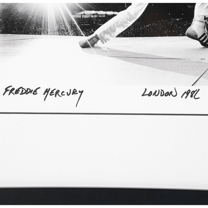 Neal Preston: Freddie Mercury London 1986 Art Gold & Silver Pawn Shop