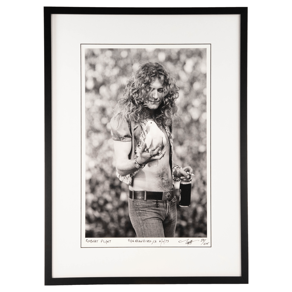 Neal Preston: Robert Plant Catches a Dove Art Gold & Silver Pawn Shop