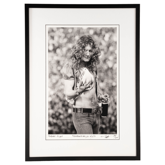 Neal Preston: Robert Plant Catches a Dove Art Gold & Silver Pawn Shop
