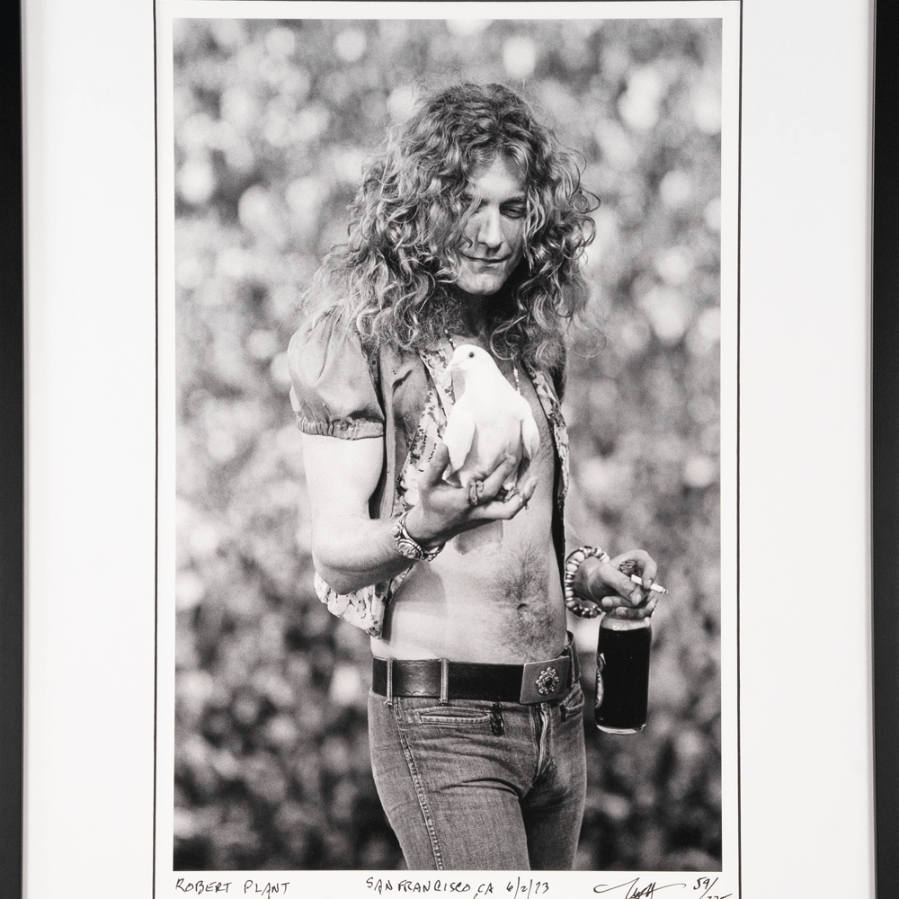 Neal Preston: Robert Plant Catches a Dove Art Gold & Silver Pawn Shop