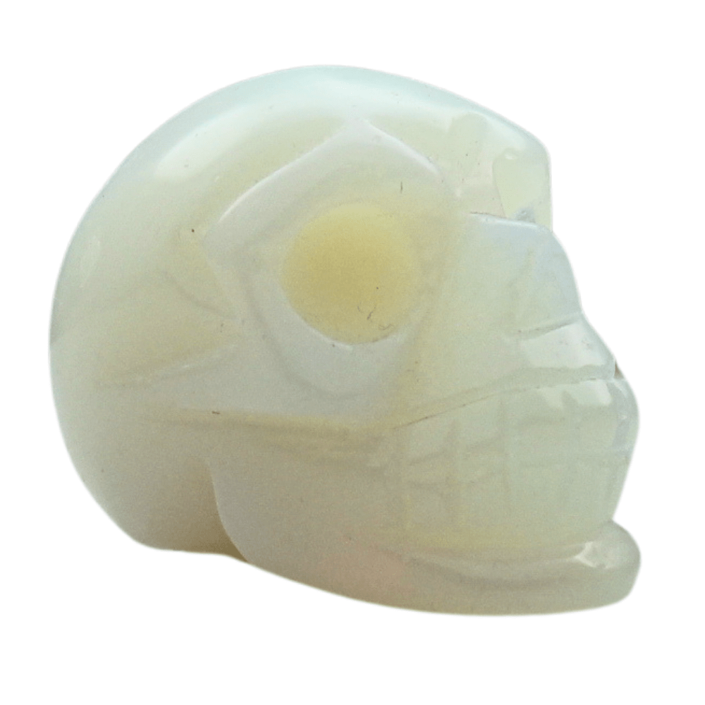 Opalite Crystal Skull Art Gold & Silver Pawn Shop