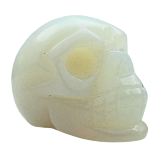 Opalite Crystal Skull Art Gold & Silver Pawn Shop