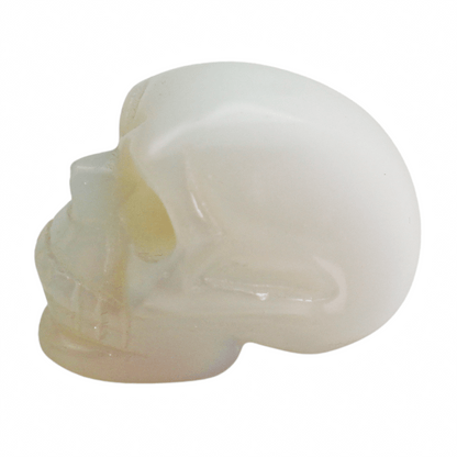 Opalite Crystal Skull Art Gold & Silver Pawn Shop