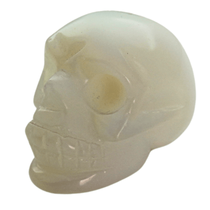 Opalite Crystal Skull Art Gold & Silver Pawn Shop