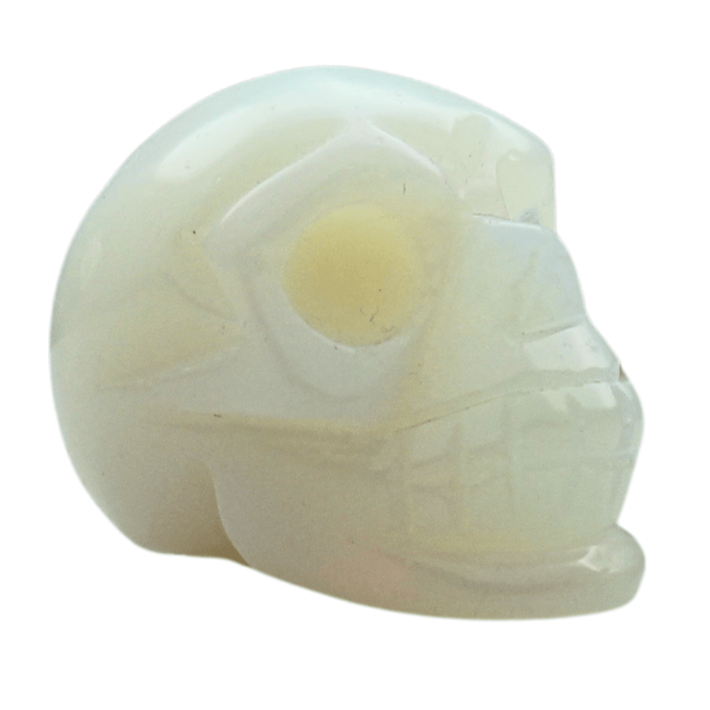 Opalite Crystal Skull Art Gold & Silver Pawn Shop
