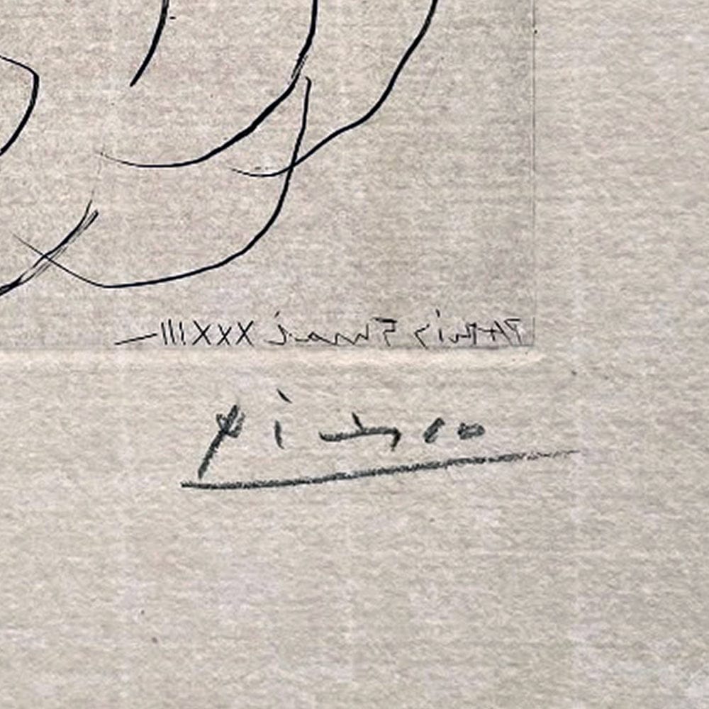 Detailed view of backlit Montval Laid Paper with etching impression and Picasso's signature