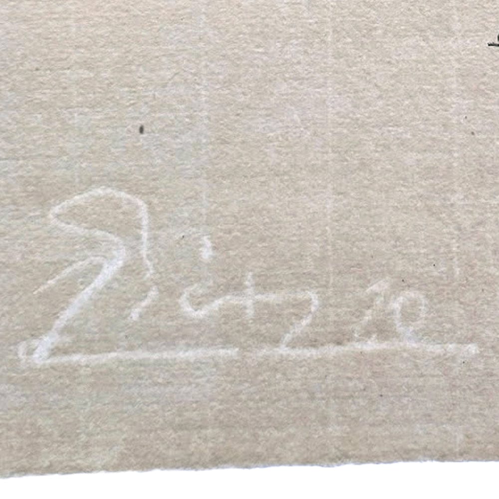 Picasso watermark on Montval laid paper