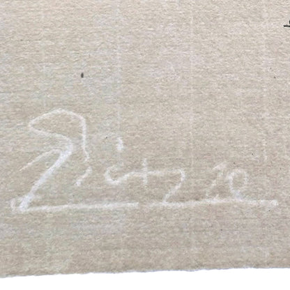 Picasso watermark on Montval laid paper