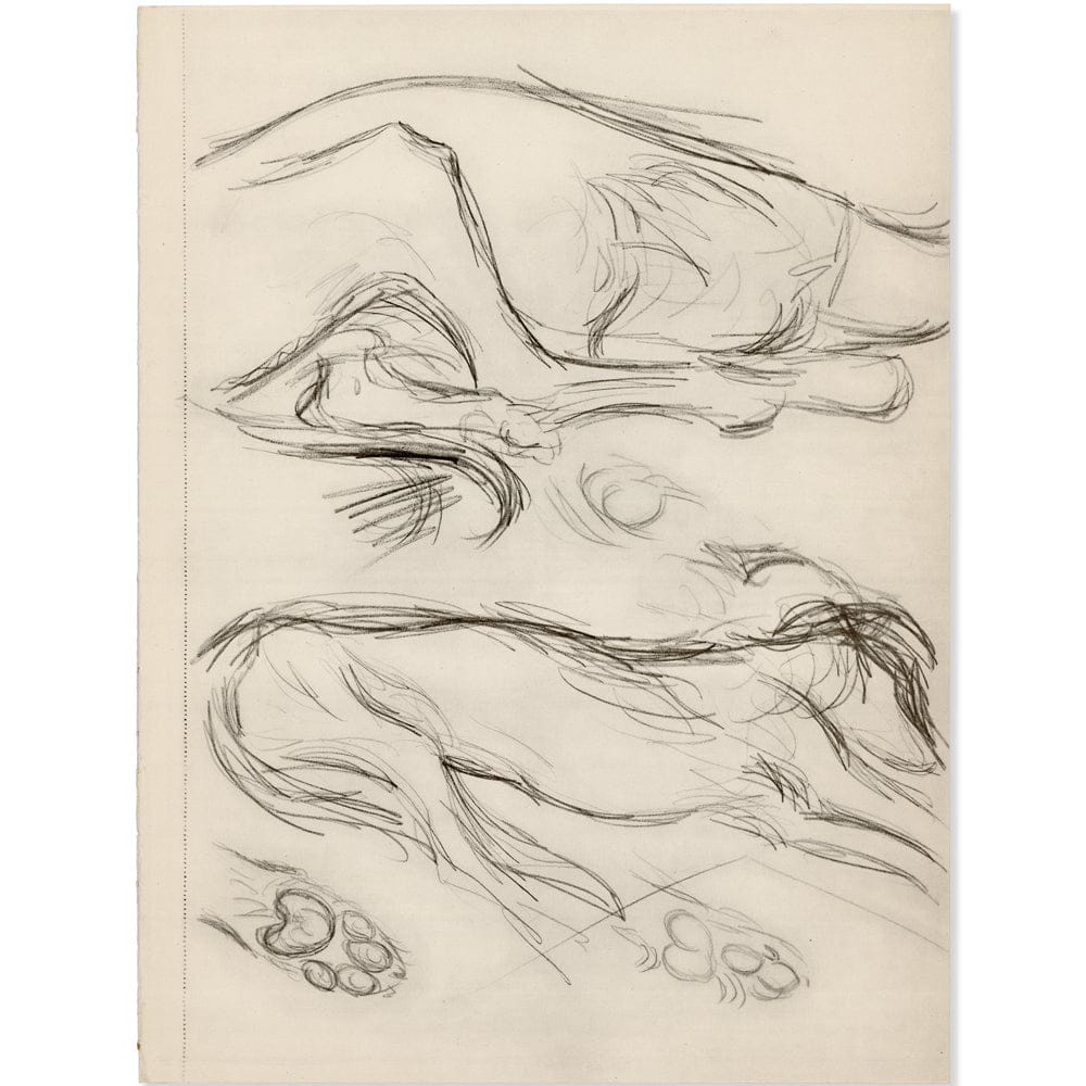 Picasso: Study of Sleeping Dogs Art Gold & Silver Pawn Shop