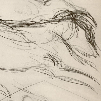 Picasso: Study of Sleeping Dogs Art Gold & Silver Pawn Shop