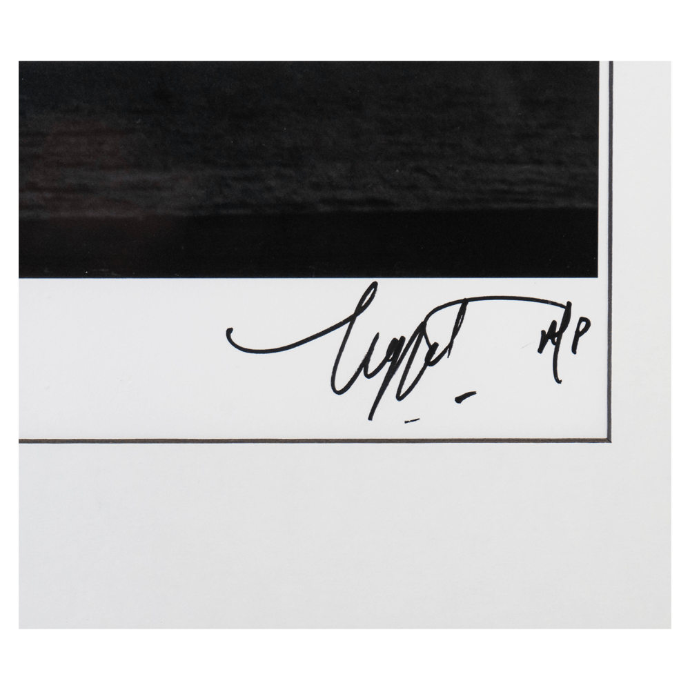 Neal Preston: Stevie Nicks Venice CA 1981 Art Gold & Silver Pawn Shop