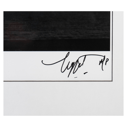 Neal Preston: Stevie Nicks Venice CA 1981 Art Gold & Silver Pawn Shop