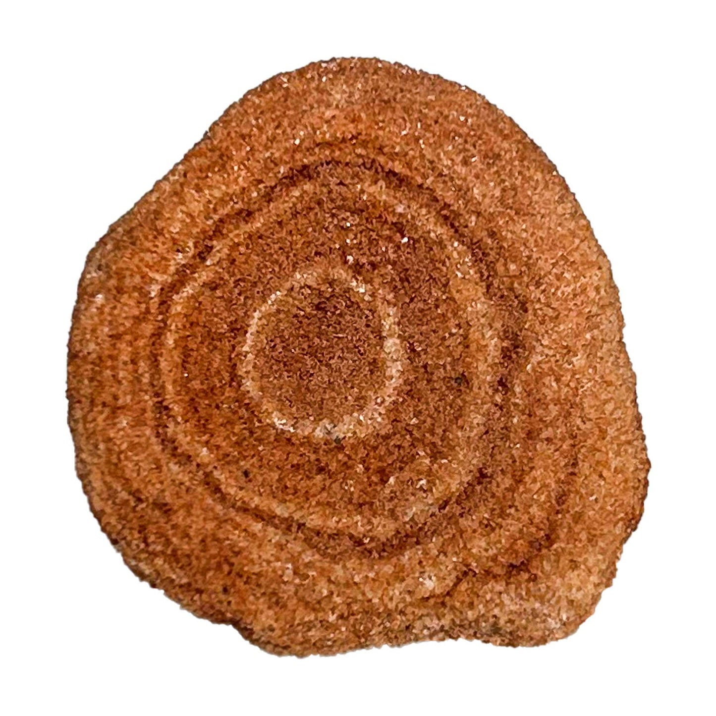 Stromatolite Fossil