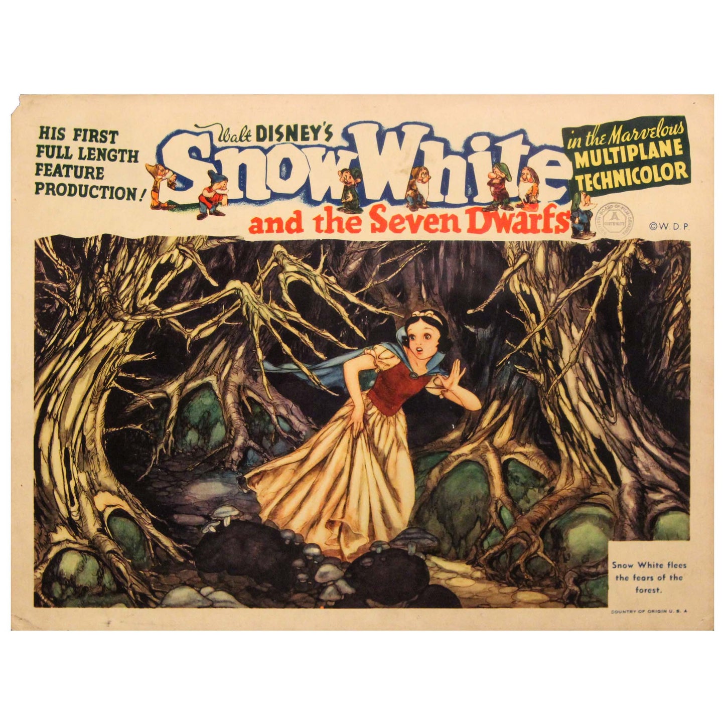 Disneys: Snow White & the 7 Dwarfs Zoomed View