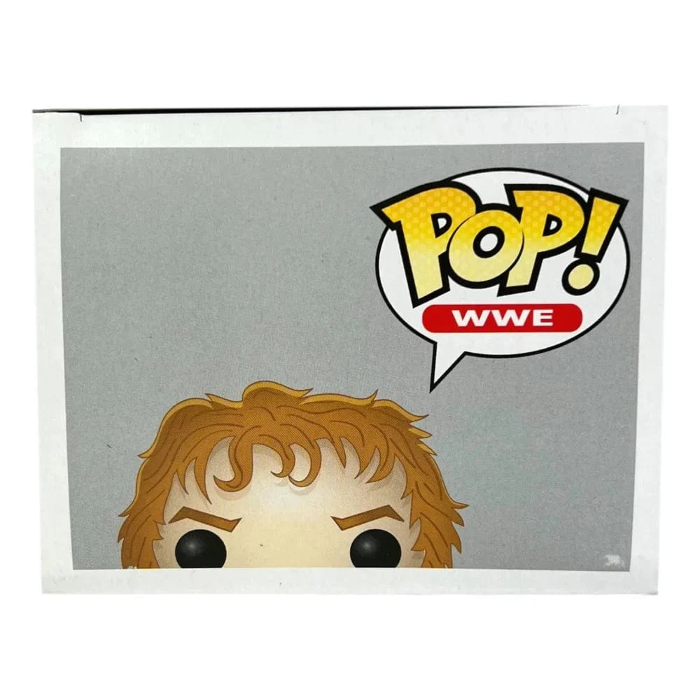 Daniel Bryan Funko Pop WWE Bryan Danielson #07 Vaulted - Great Condition Funko Pop Inscriptagraphs Memorabilia