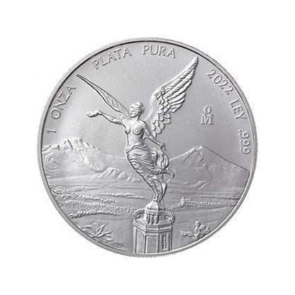Random Date Mexico 1 oz Silver Libertad