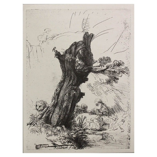 Rembrandt Van Rijn; St Jerome Beside a Pollard Willow