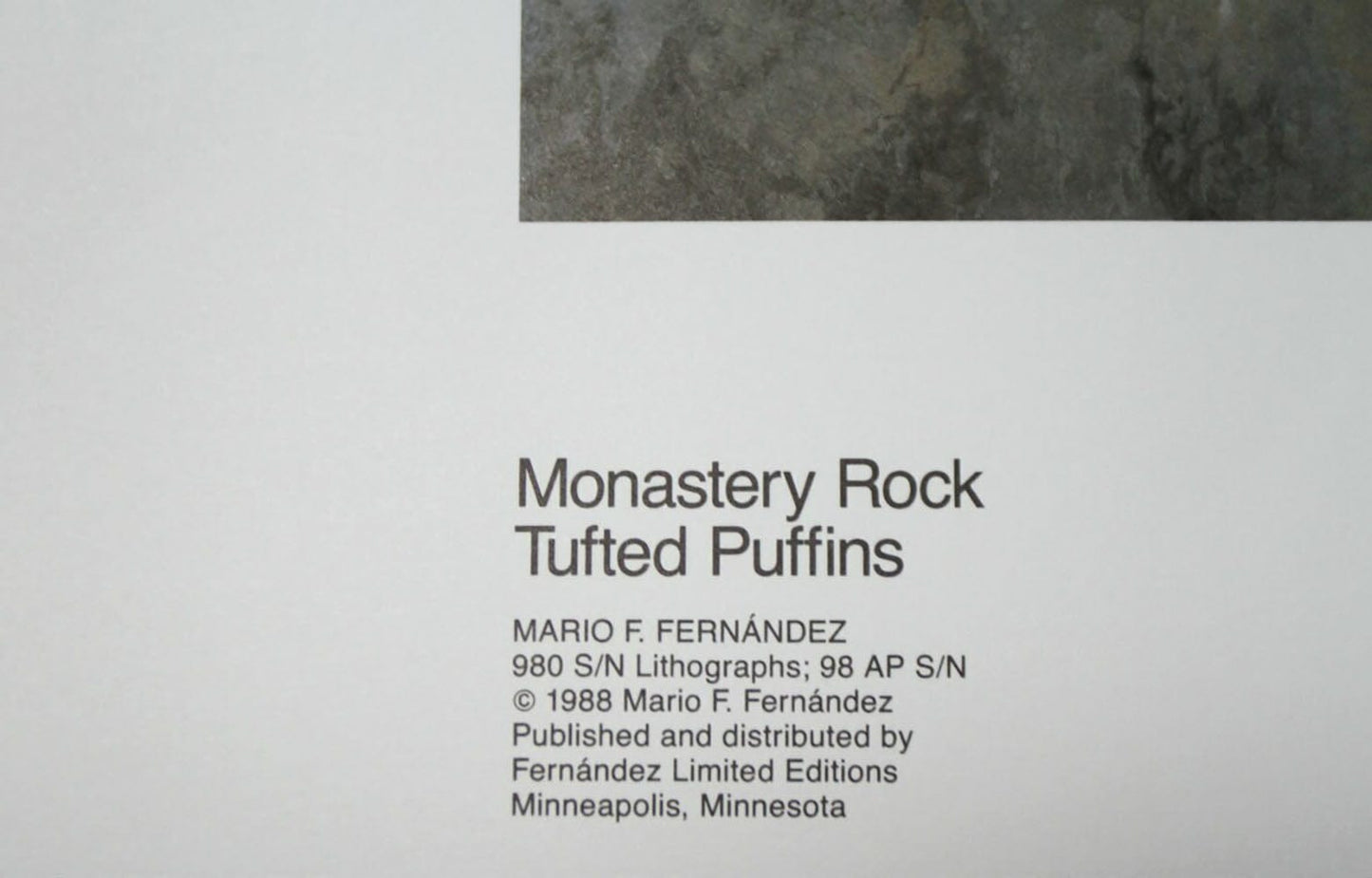 Mario F Fernandez; "Monestary Rock - Tufted Puffins"