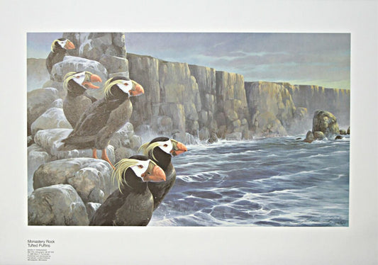 Mario F Fernandez; "Monestary Rock - Tufted Puffins"